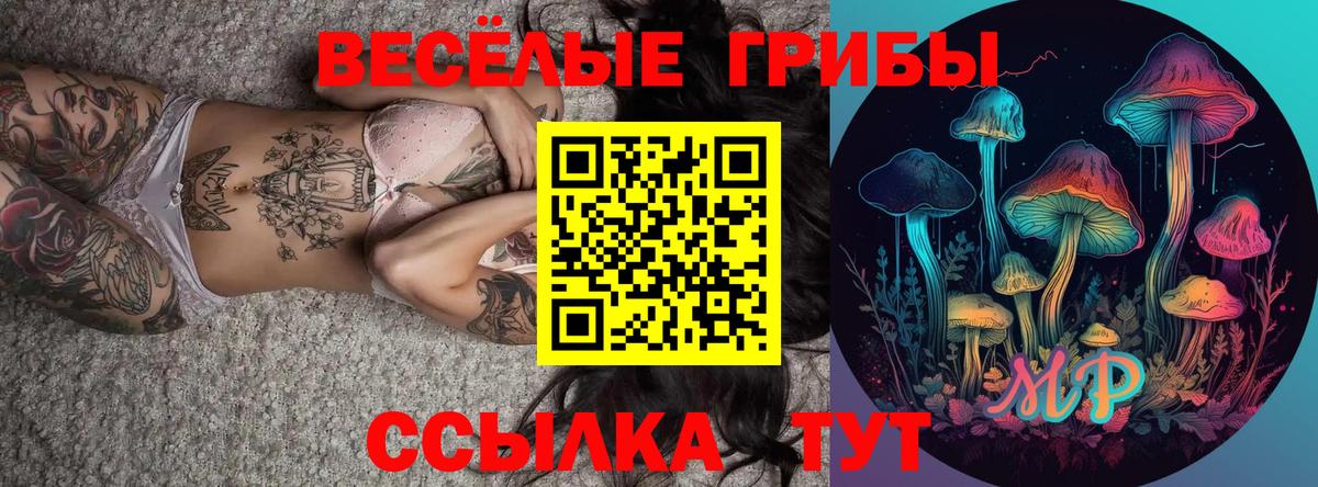 Псилоцибиновые грибы мухоморы  Вход с VPN  Губкинский 